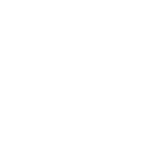 { $menu_item->menu_info['text'] }}